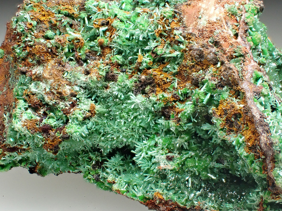 Olivenite & Conichalcite