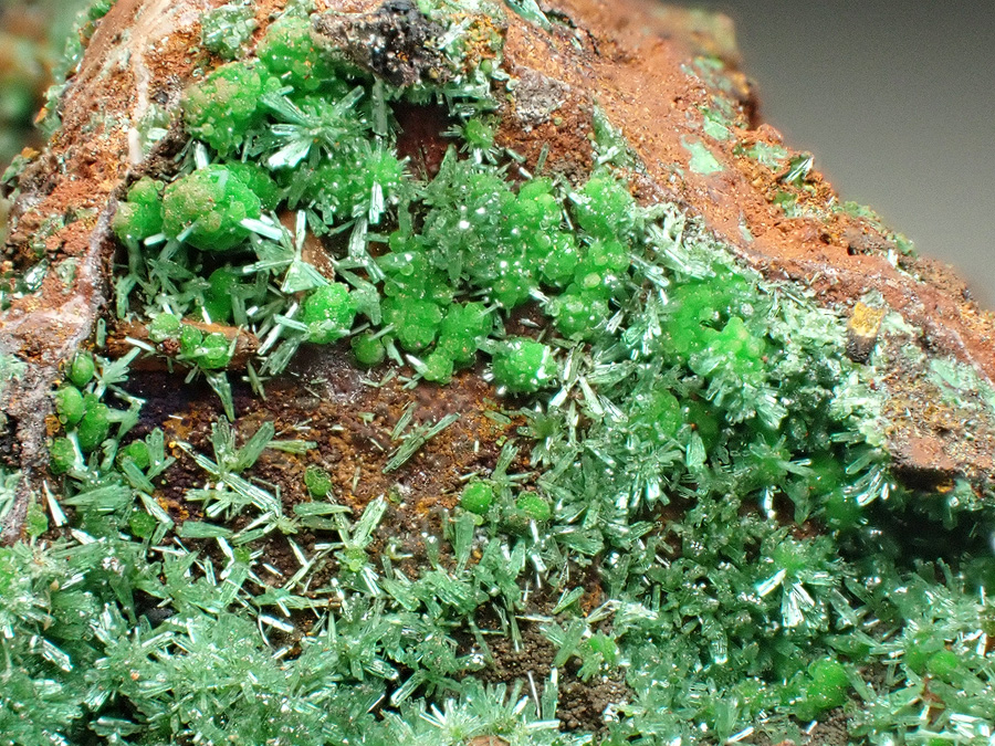 Olivenite & Conichalcite