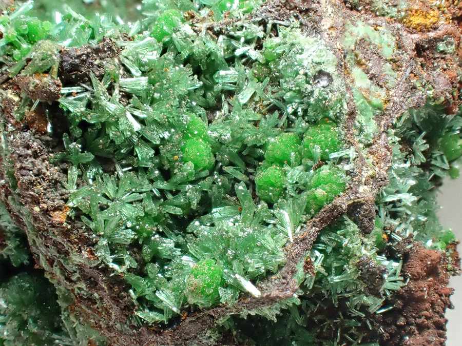 Olivenite & Conichalcite