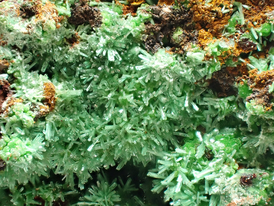 Olivenite & Conichalcite