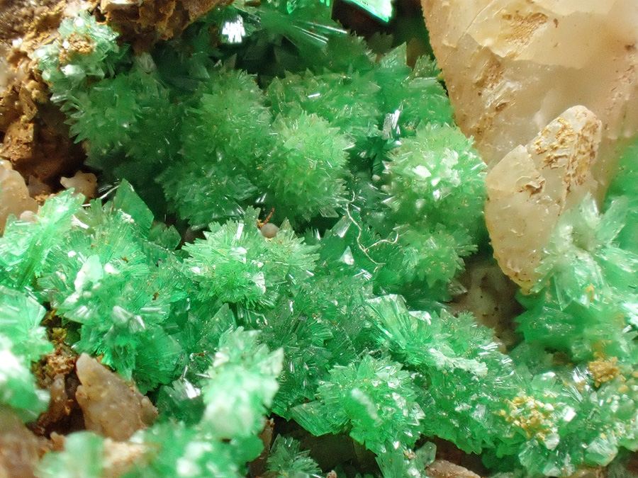 Annabergite