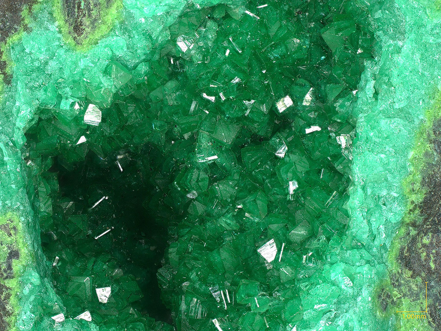Cuprian Adamite