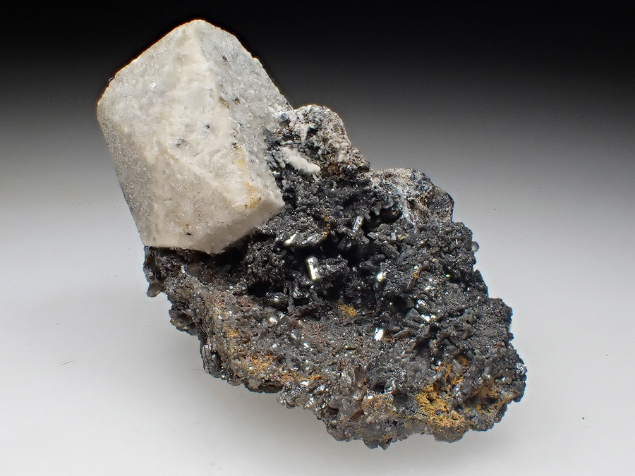 Phosgenite Anglesite & Cerussite