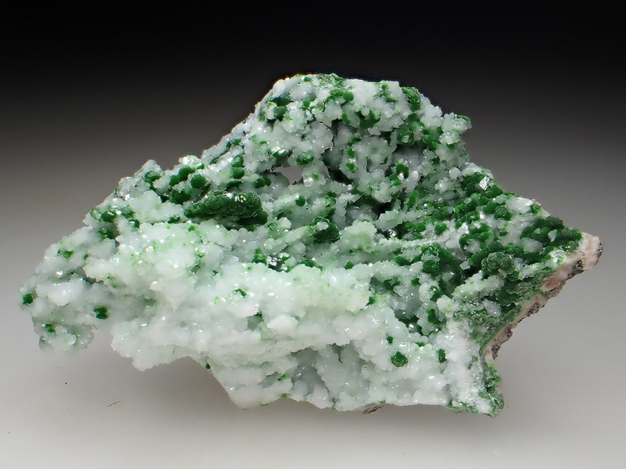Conichalcite & Calcite
