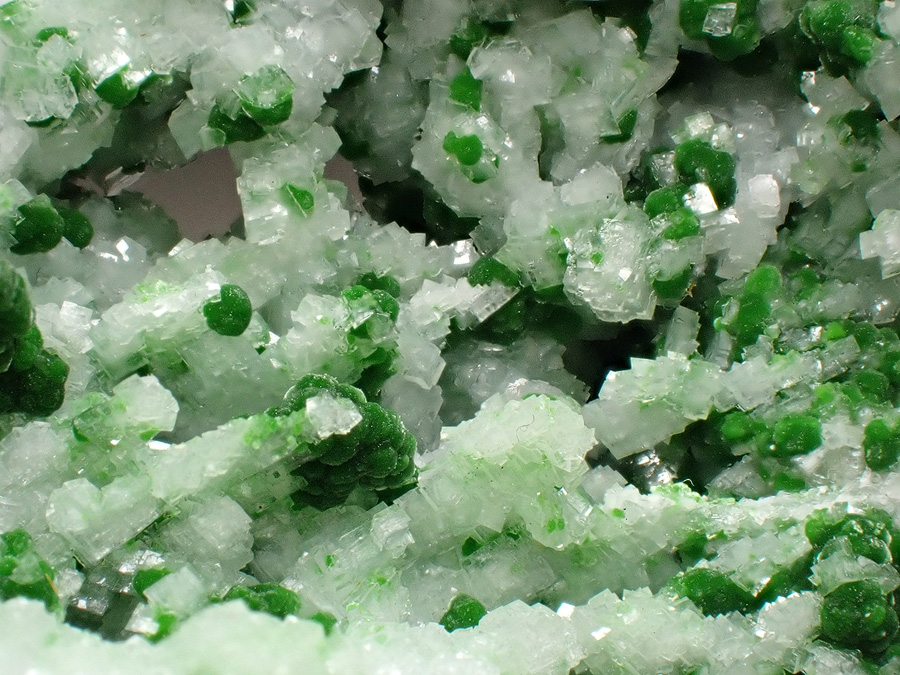 Conichalcite & Calcite
