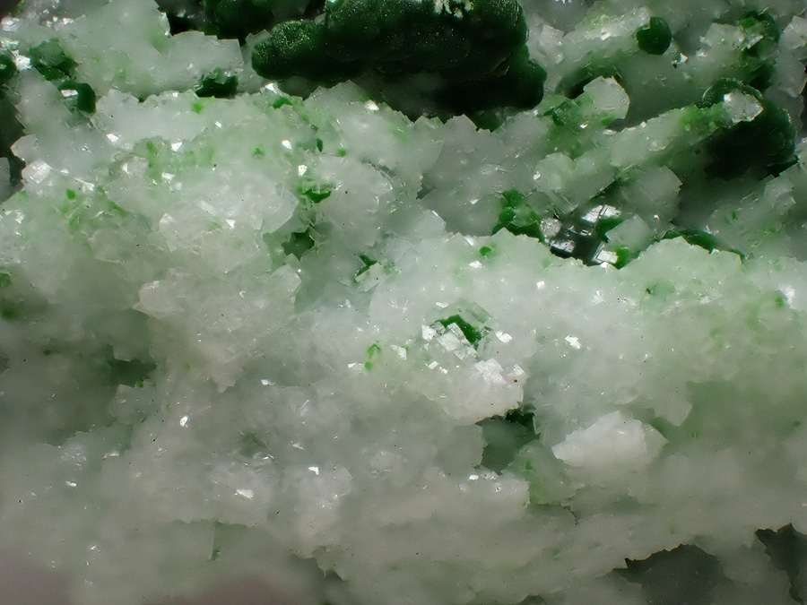 Conichalcite & Calcite