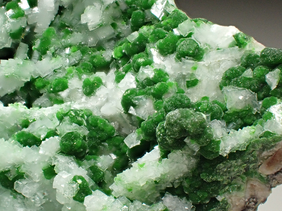 Conichalcite & Calcite