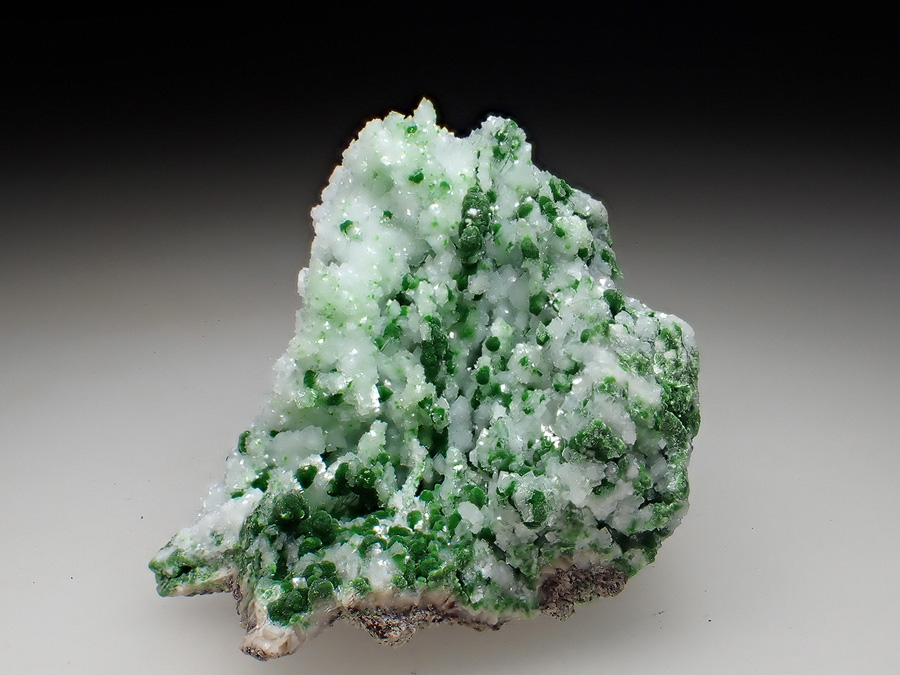 Conichalcite & Calcite