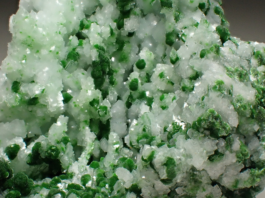 Conichalcite & Calcite