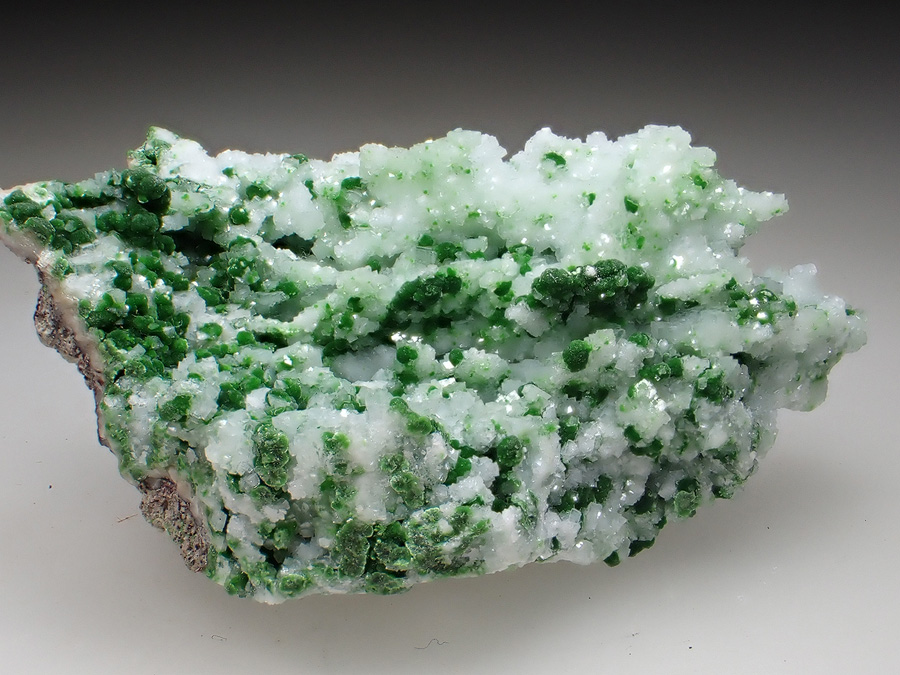 Conichalcite & Calcite