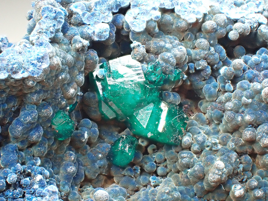 Dioptase Shattuckite & Malachite