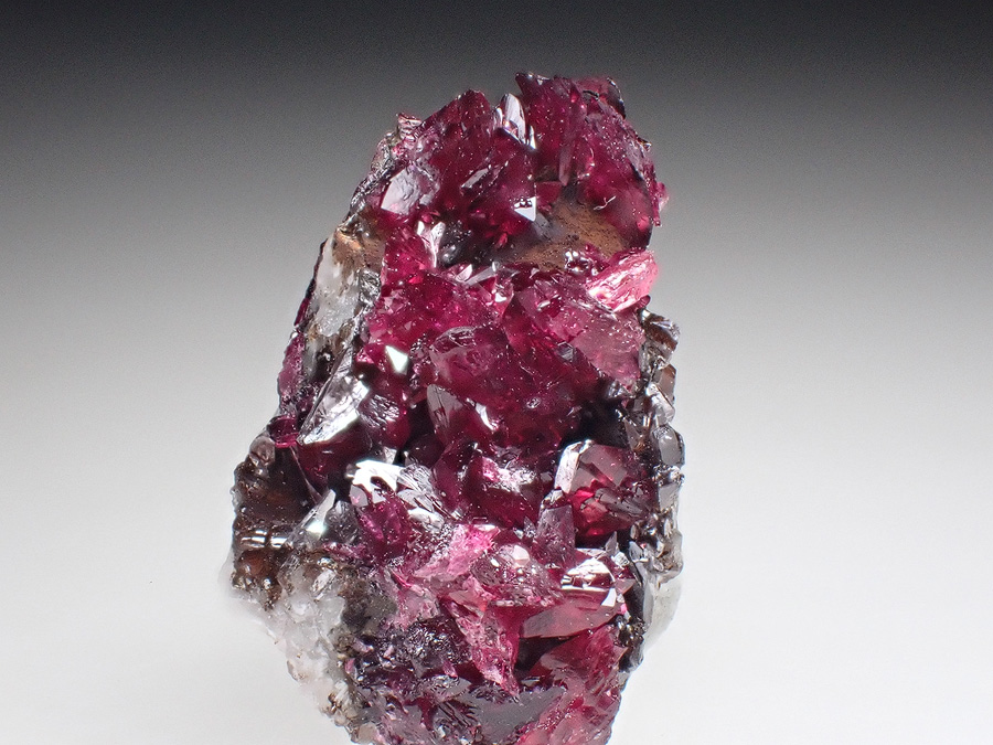 Wendwilsonite