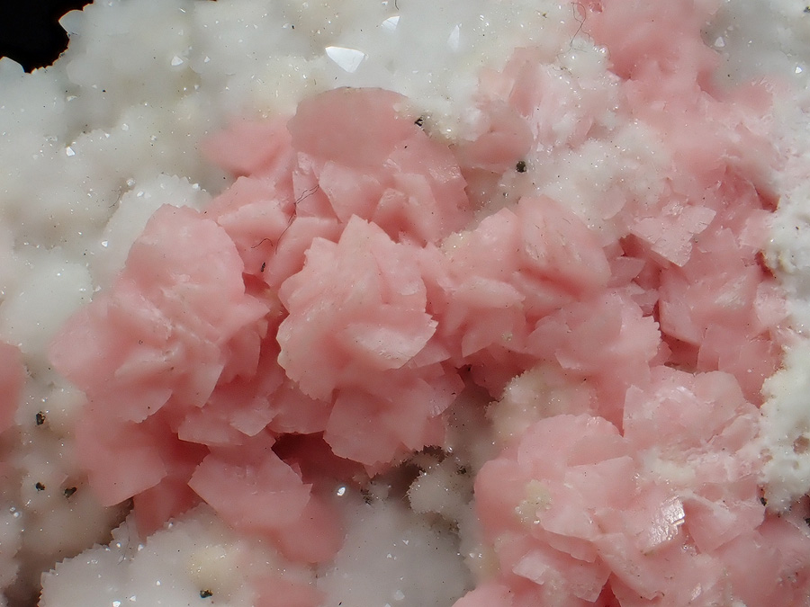 Rhodochrosite & Quartz