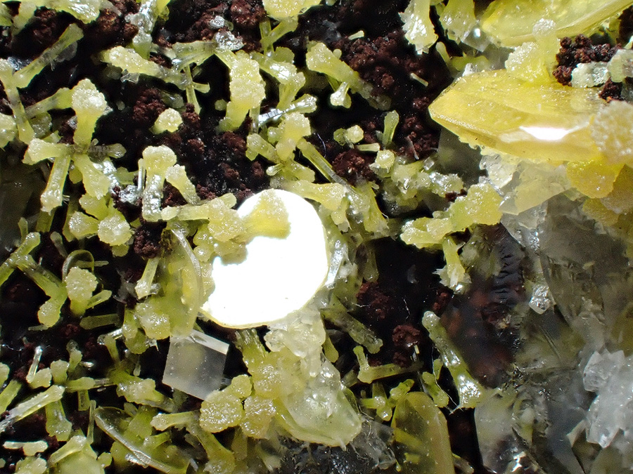 Wulfenite & Mimetite