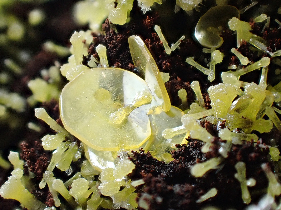 Wulfenite & Mimetite