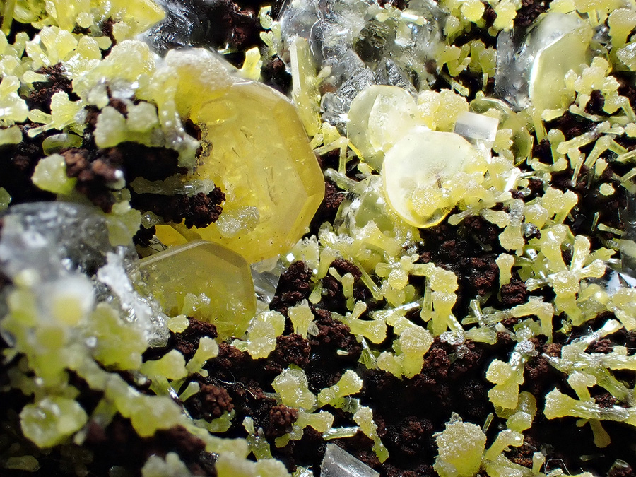 Wulfenite & Mimetite