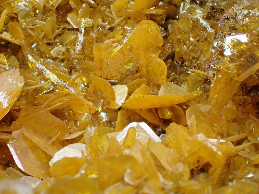 Wulfenite