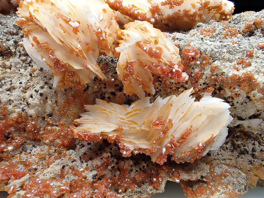 Vanadinite & Baryte
