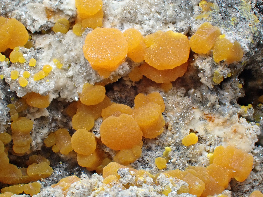 Mimetite Wulfenite & Willemite