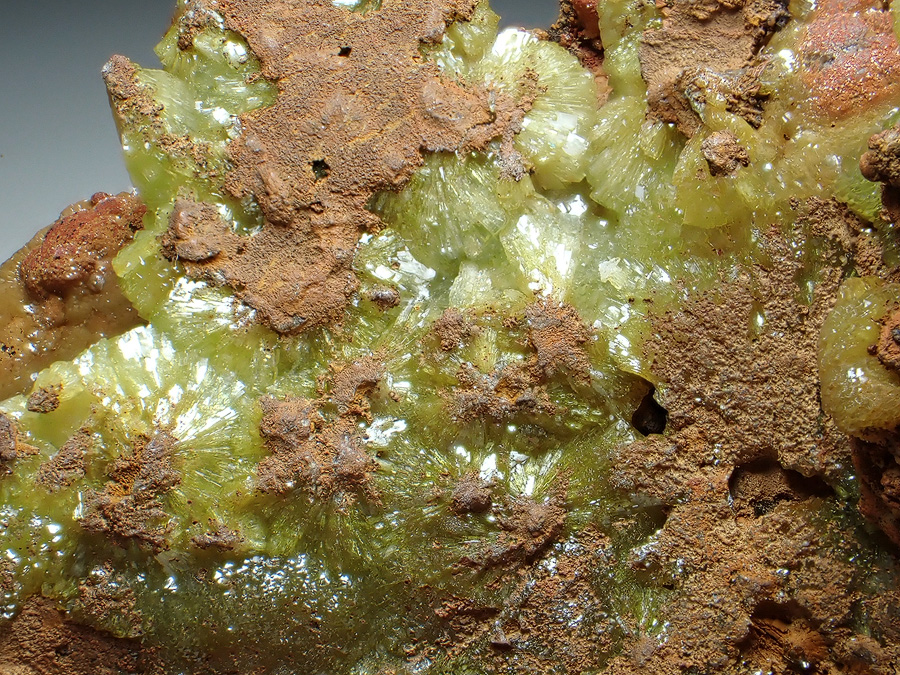 Adamite