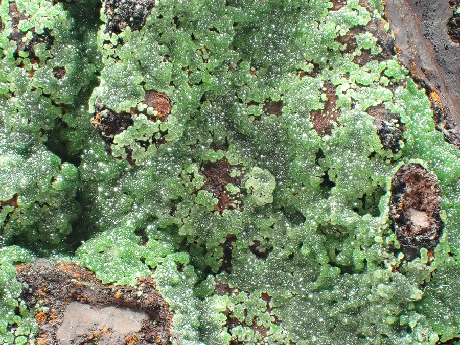 Conichalcite