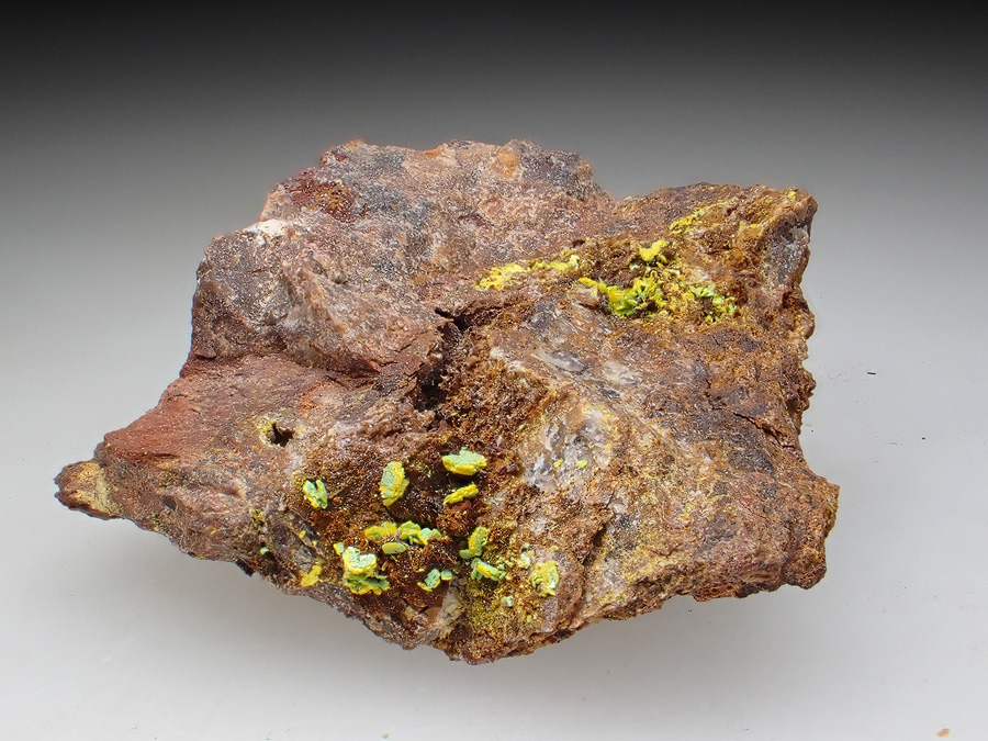 Uranospathite & Torbernite