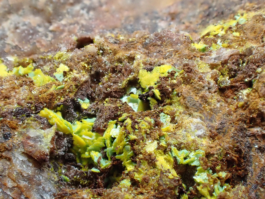 Uranospathite & Torbernite