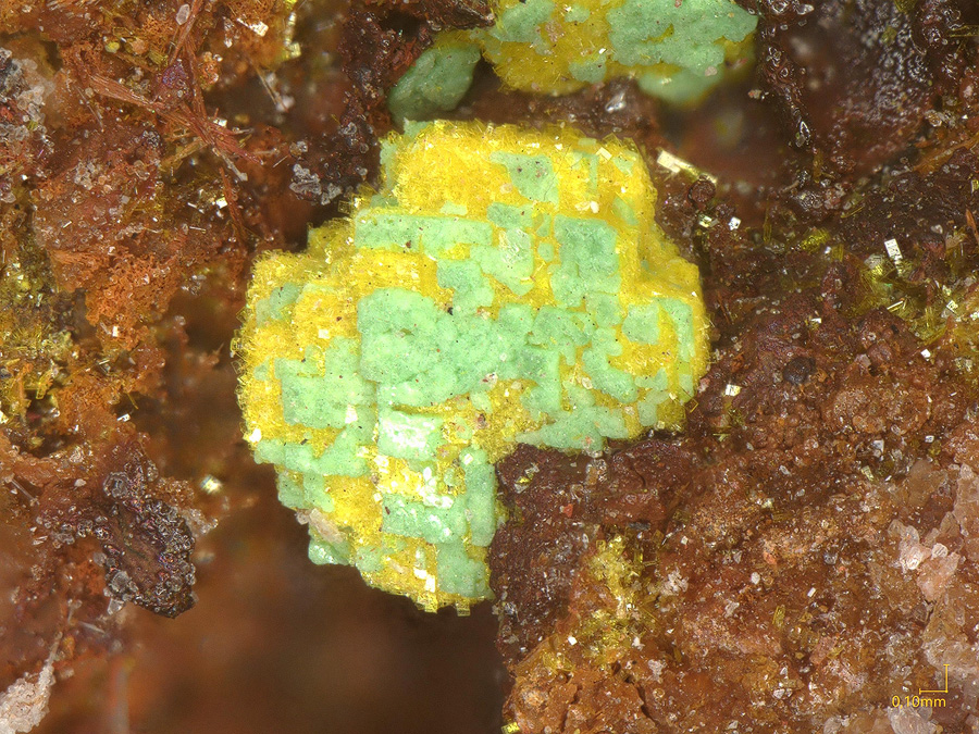 Uranospathite & Torbernite