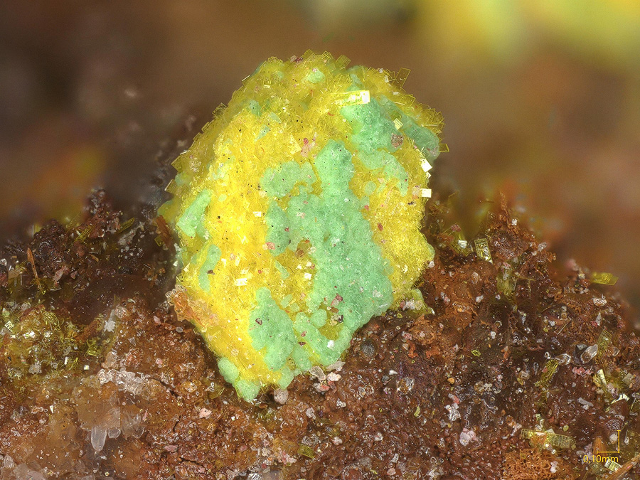 Uranospathite & Torbernite