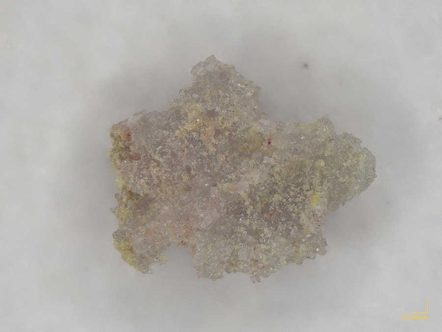 Feinglosite