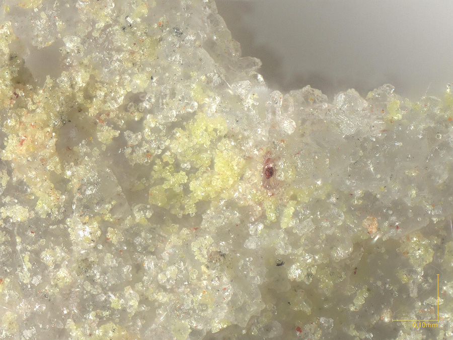 Feinglosite