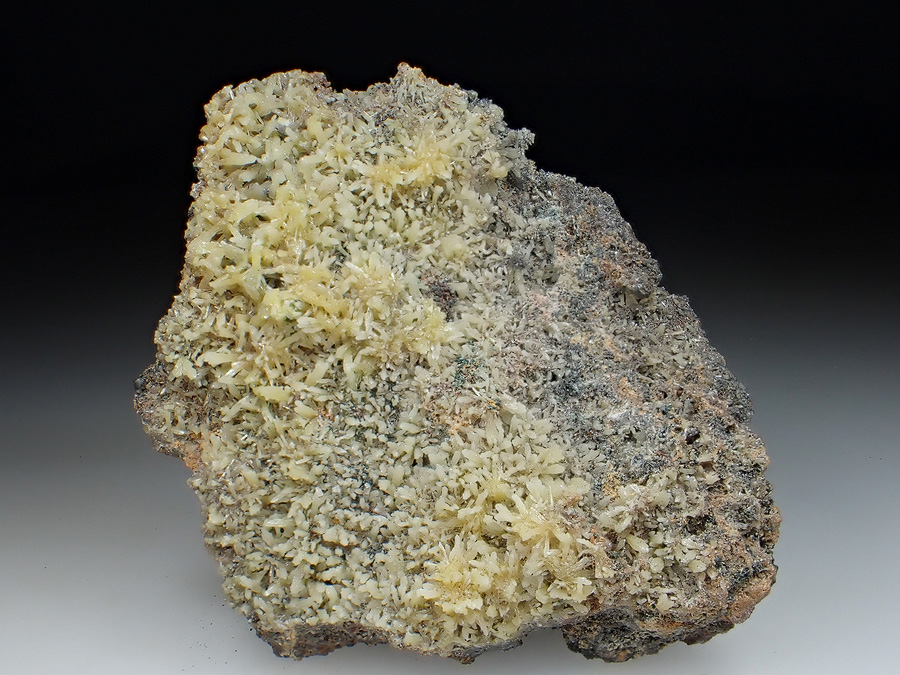 Mimetite