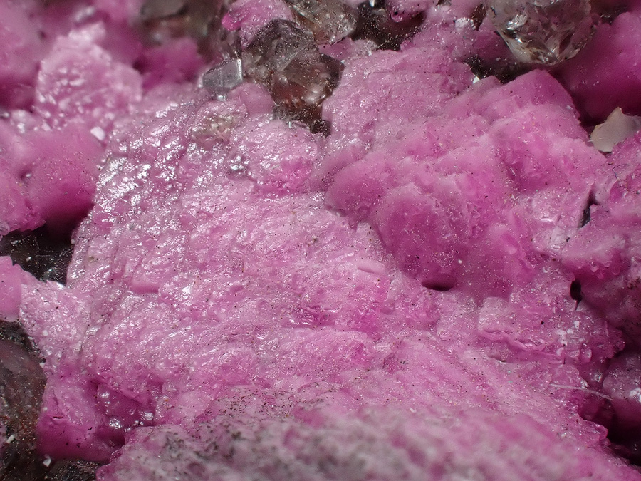 Cobaltoan Calcite & Quartz