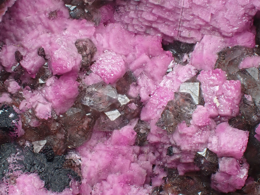 Cobaltoan Calcite & Quartz