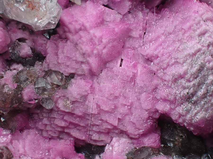 Cobaltoan Calcite & Quartz