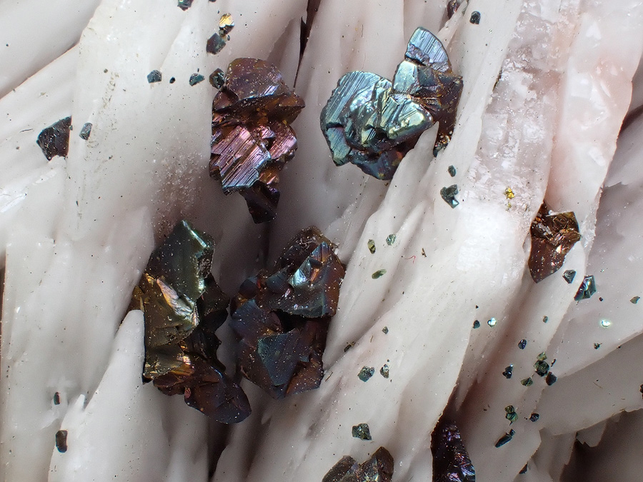 Chalcopyrite Baryte & Dolomite