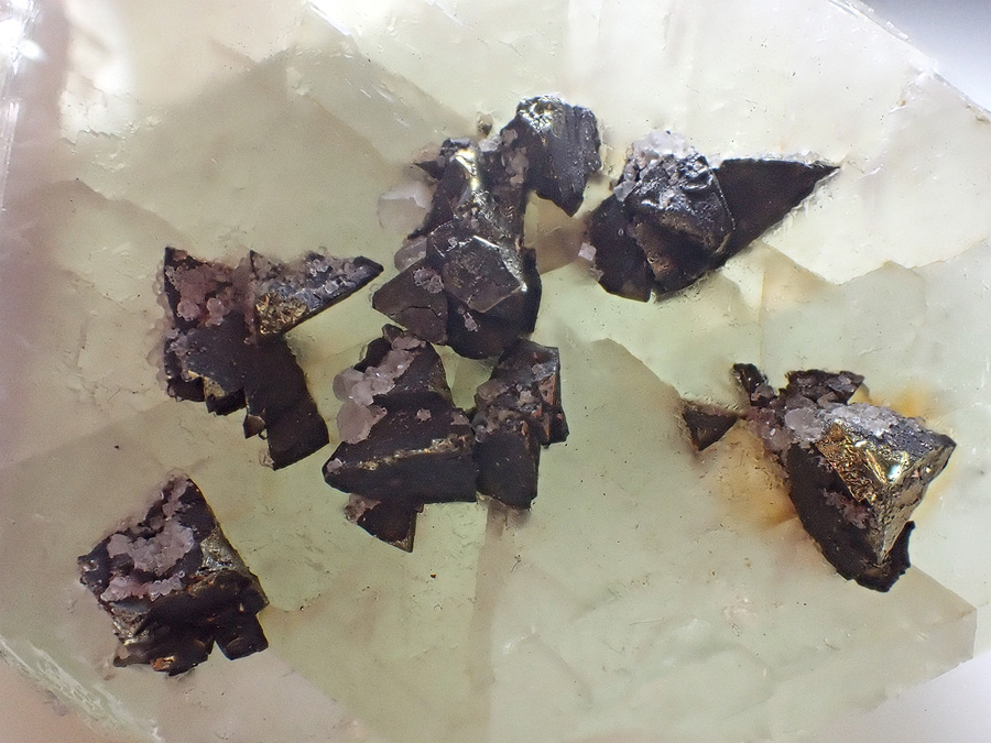 Fluorite & Chalcopyrite