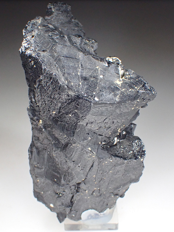 Schorl