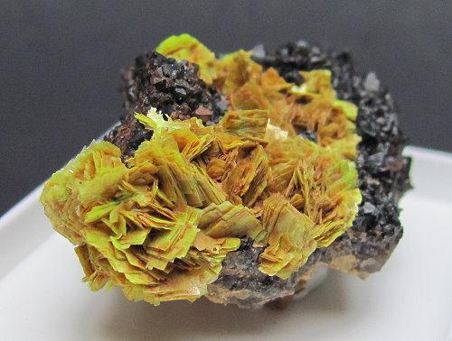 Meta-autunite & Black Smoky Quartz