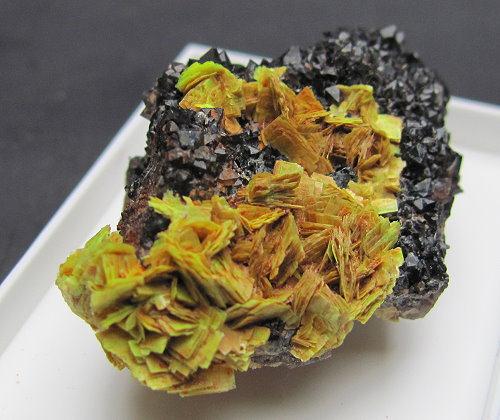 Meta-autunite & Black Smoky Quartz