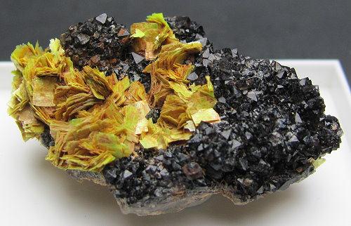 Meta-autunite & Black Smoky Quartz