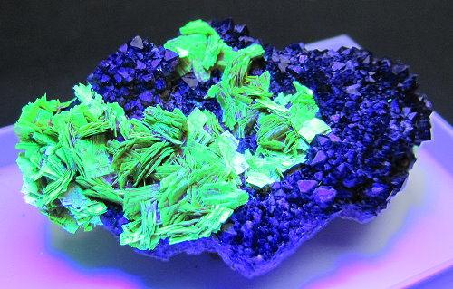 Meta-autunite & Black Smoky Quartz