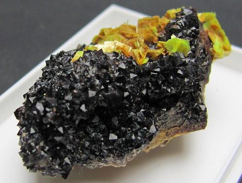 Meta-autunite & Black Smoky Quartz