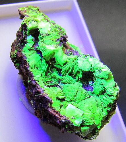 Meta-autunite