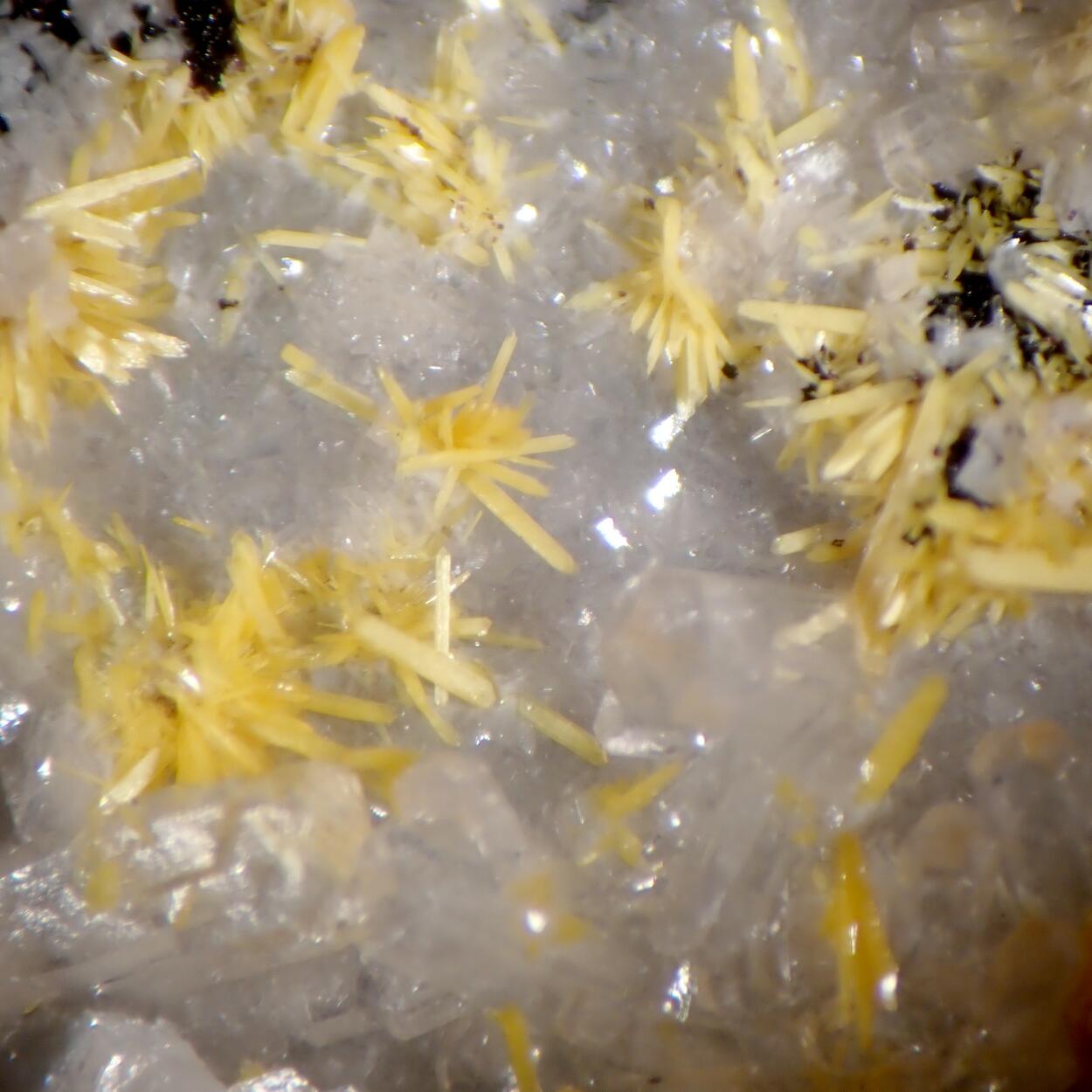 Boltwoodite & Fluorite