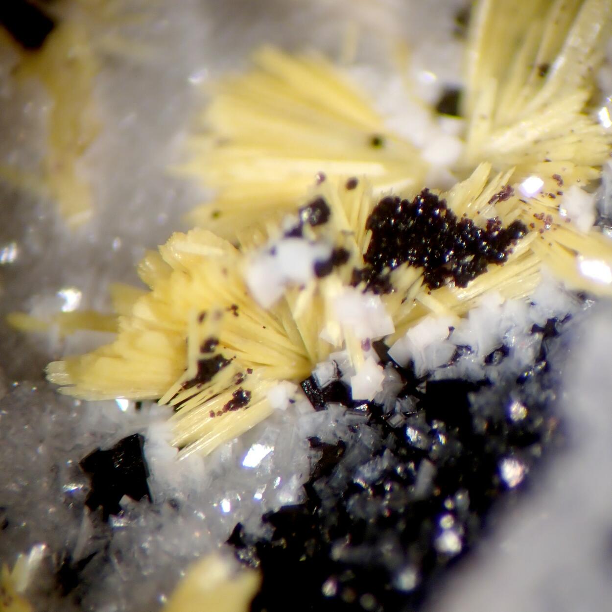 Boltwoodite & Fluorite