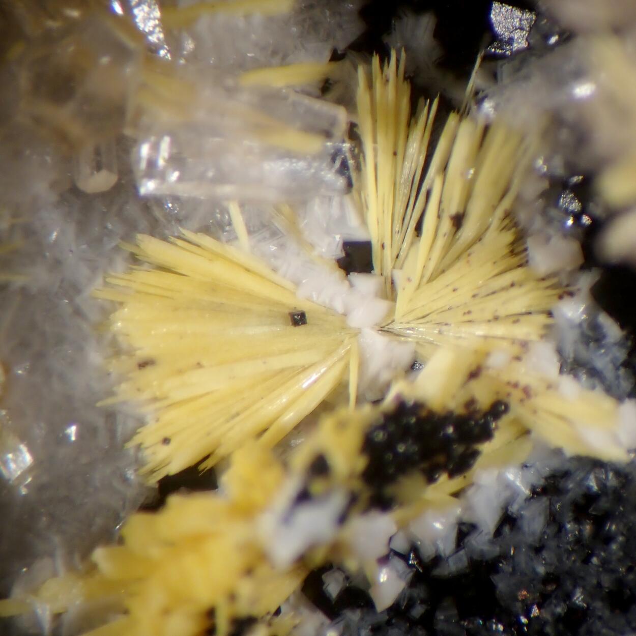 Boltwoodite & Fluorite