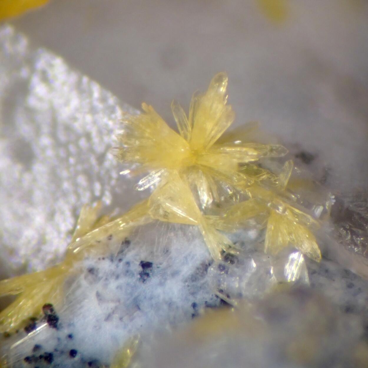 Boltwoodite & Fluorite