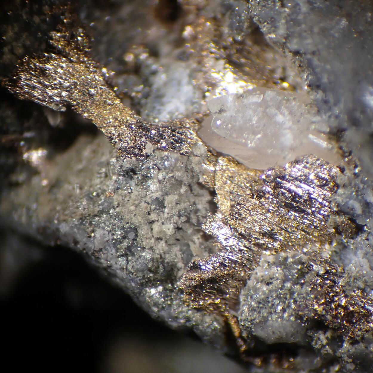 Melonite Psm Calaverite & Gold