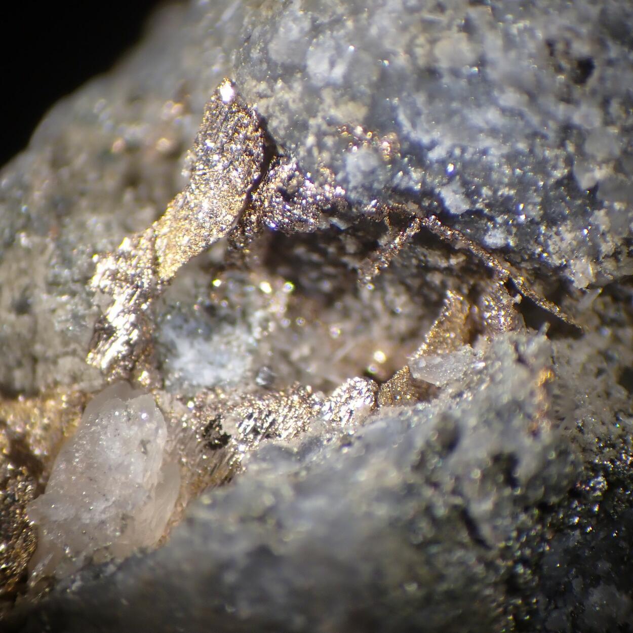 Melonite Psm Calaverite & Gold